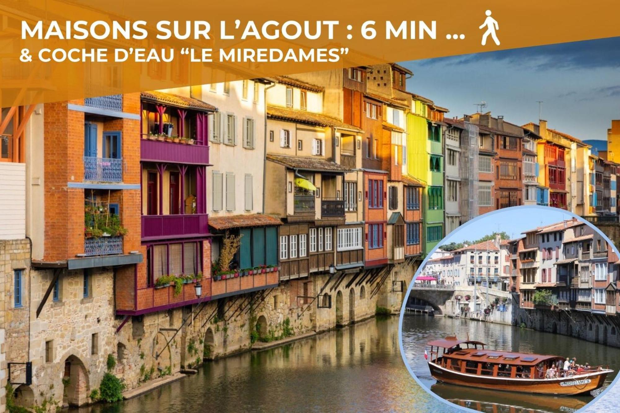 L'Eveche - T3 Spacieux & Traversant En Hypercentre Castres  Exteriér fotografie
